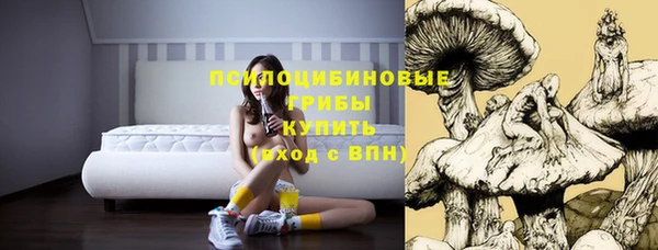 герыч Аркадак