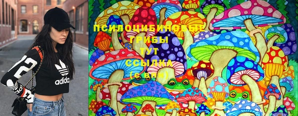spice Арсеньев