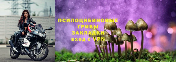 гидра Алзамай